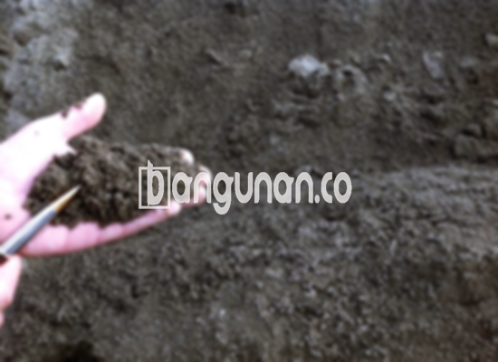 Jual Pasir Bangunan Di Bali Mester Jakarta [Terdekat]